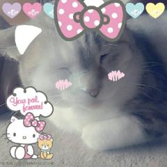 かにょん🍀