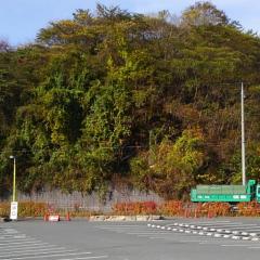 疲れるにゃんにゃん