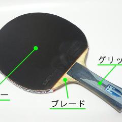 中学生の卓球日記