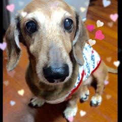 ☆★あっchan★☆