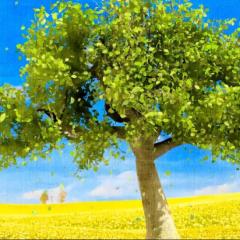 茨城から坂を駆け上がる