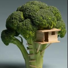 博多娘の行進曲