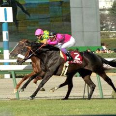 競馬、パチンコ、スロット     趣味合う人〜