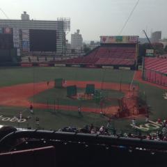 あおきー推しのこーた