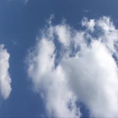 亀くんのトーク