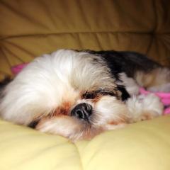 ななこひめのトーク