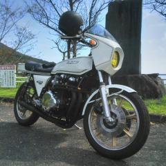 リュウベイベイ