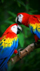 takuchannel(静岡県の人)