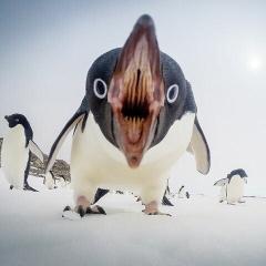 おバカをリトーク