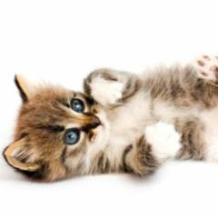 二人のトーク♪