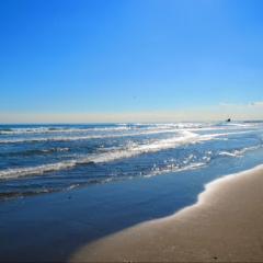 トークのトーク