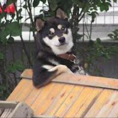 y.tのトーク