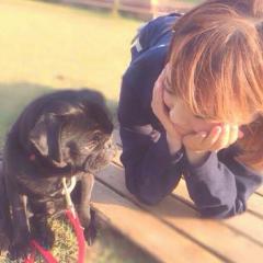 ただのつぶやき。