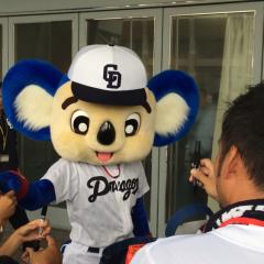エセ名古屋人
