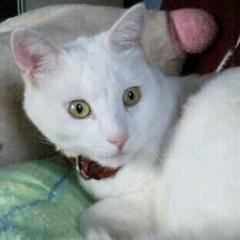 ユキヒロシノツカ