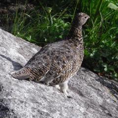 た・とのトーク