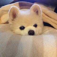 けいのん♥︎の戯言。