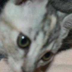 辻美優頑張って