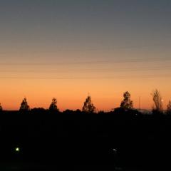 フレデリカ•ベルンカステル