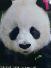 (hiro￣▽￣;tama)