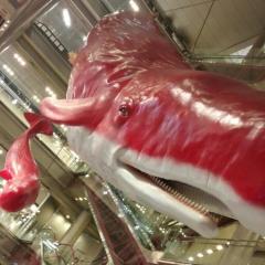 みずきのトーク