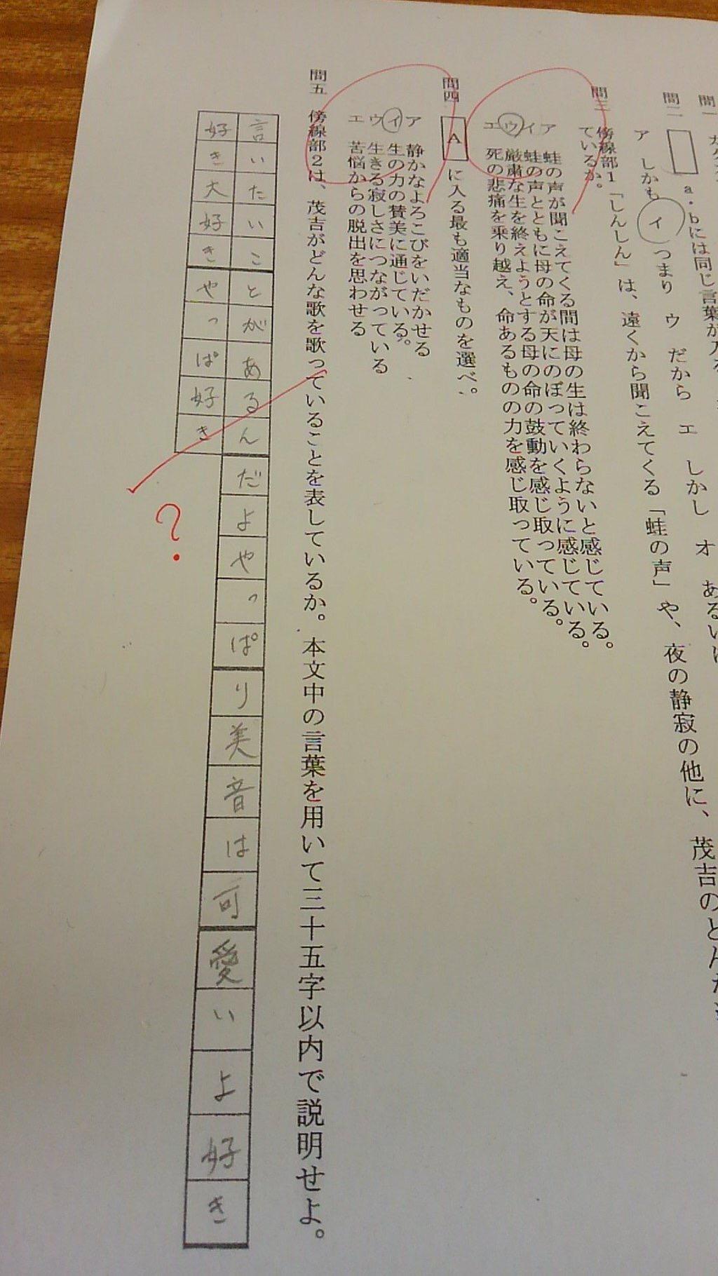投稿画像