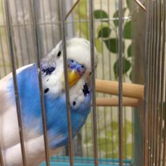 皆さんの趣味を教えて！