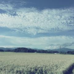 人探してます😭😭😭