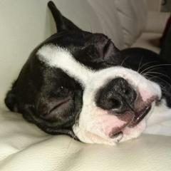 愛佳大好きDD卒業じょーじ