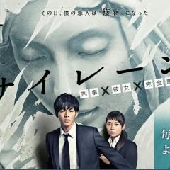 サイレーン見てた人ー