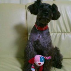 小説作っちゃお！！