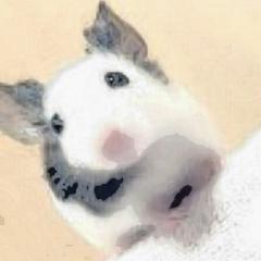 流衣(やっちゃん)