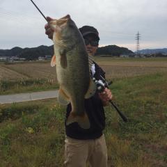 Yのトーク