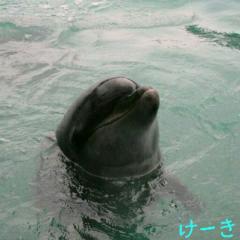 けーき