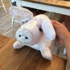 イワナガコータ