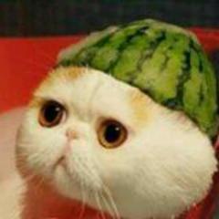 Suguのトークだよ