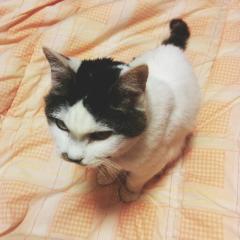 宮さん