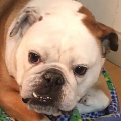 むっちゃんのトーク