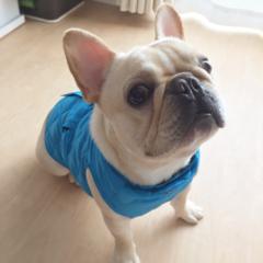 根本将英