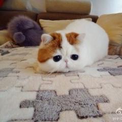 小6女子限定トーク!