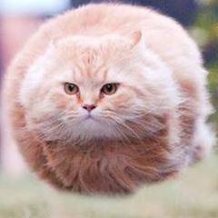 モンスト手伝う