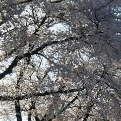 e-girls大好きトーク