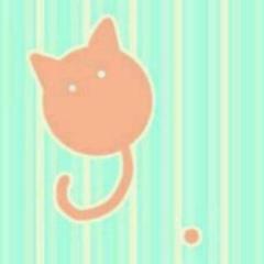 オレンジ色の猫