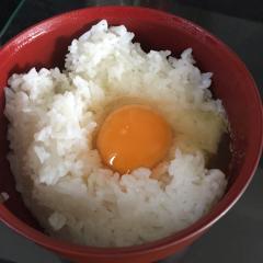 たまごかけご飯を食べました