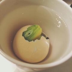 かりん