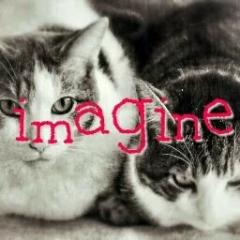 書かない作家は遊び人のトーク