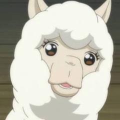 アルパカ小屋〜755支部〜