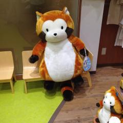きゃんのトーク