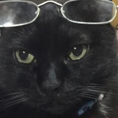 ひろきっち