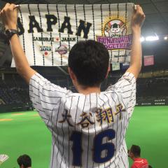 ぱるコアラ